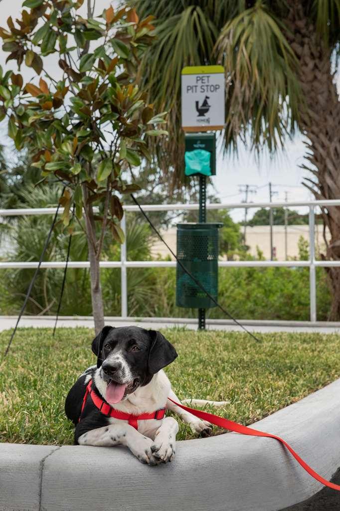 Home2 Suites By Hilton Tampa Westshore Airport Экстерьер фото